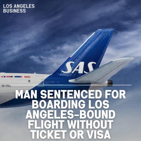 A Russian guy who boarded a flight from Denmark to Los Angeles last November without a ticket, passport, or visa has been found peccant in a US federal court of being a stowaway on an airplane.