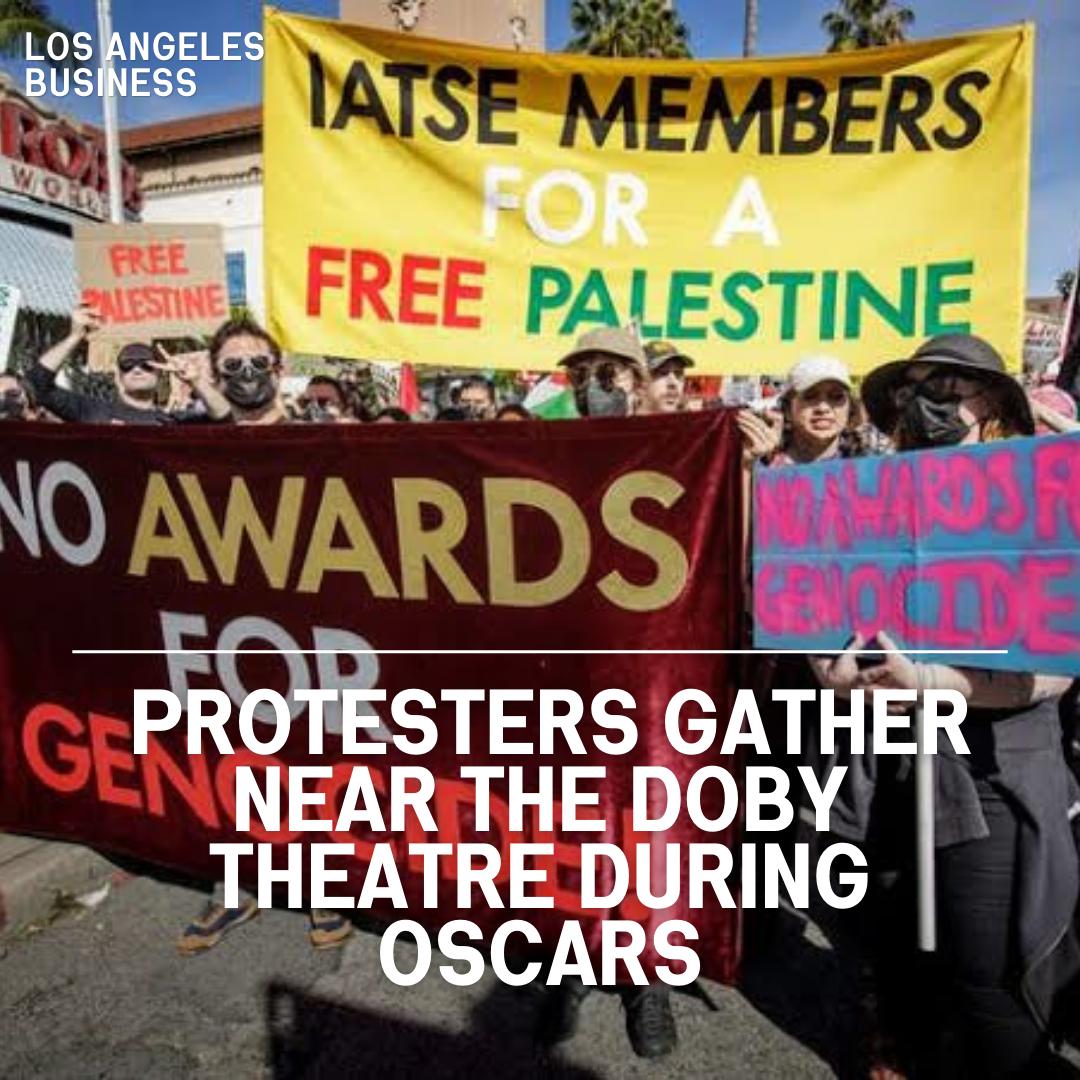 The lanes of Hollywood were inundated with protesters on Sunday as celebs arrived for the Academy Awards.
